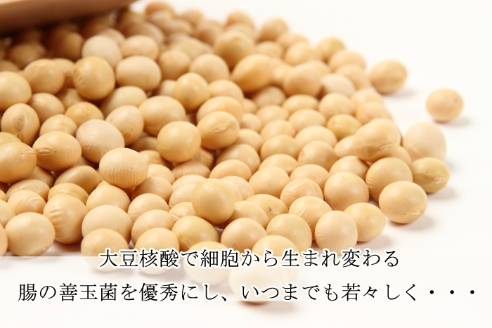 酵素の恵みソイ核酸スペシャル販売クリエイトアイワ1