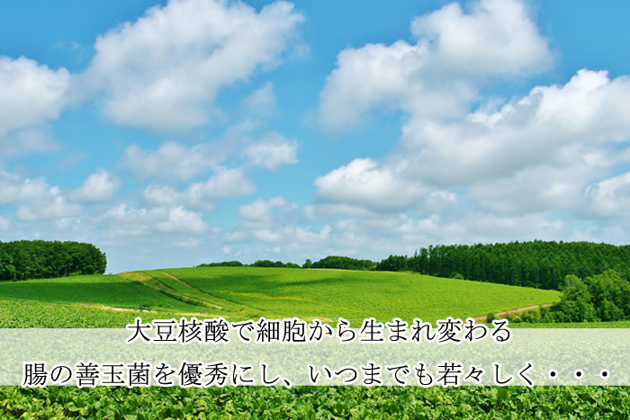 酵素の恵みソイ核酸スペシャル販売クリエイトアイワ3